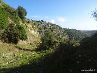 traro-30-12-2021 11-03-27